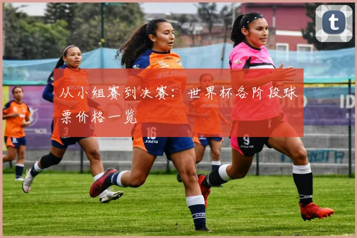 从小组赛到决赛：世界杯各阶段球票价格一览
