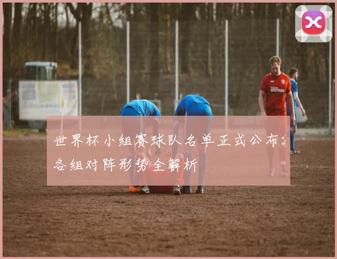 世界杯小组赛球队名单正式公布：各组对阵形势全解析