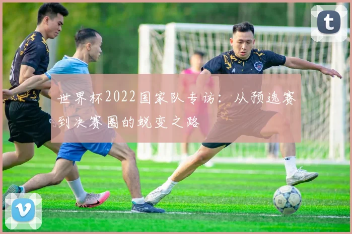 世界杯2022国家队专访：从预选赛到决赛圈的蜕变之路